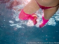 Fuchsia Foxx