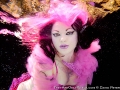 Fuchsia Foxx