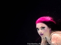 Fuchsia Foxx