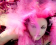 Fuchsia Foxx