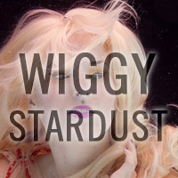 Wiggy Stardust 2011